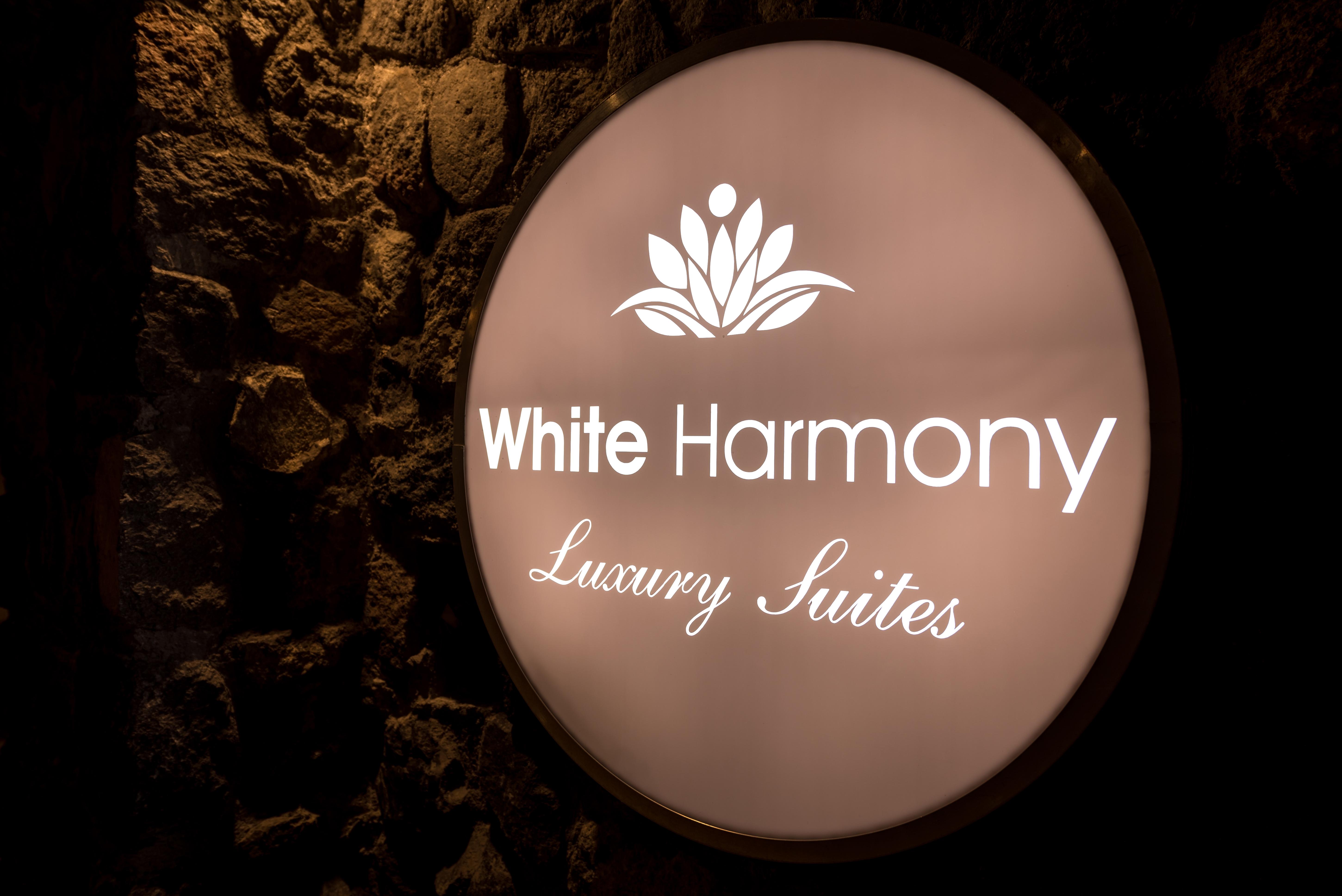 White Harmony Suites Мегалохори Экстерьер фото