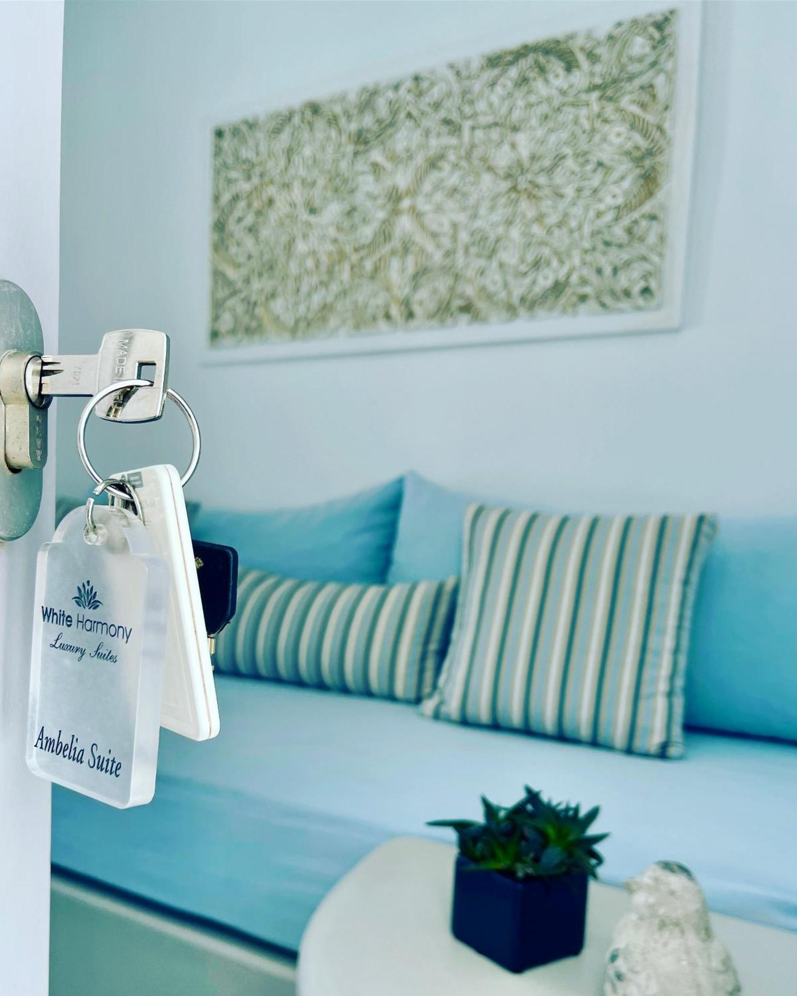 White Harmony Suites Мегалохори Экстерьер фото